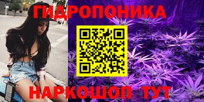 шишки Комсомольск-на-Амуре