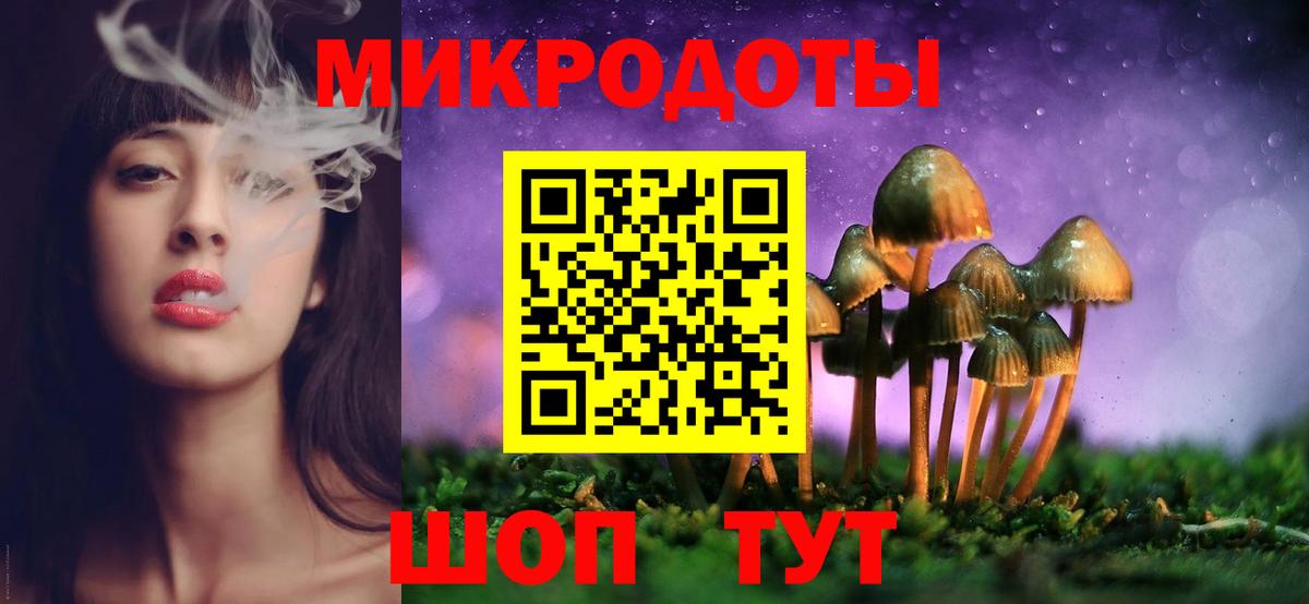 Псилоцибиновые грибы GOLDEN TEACHER Краснодар