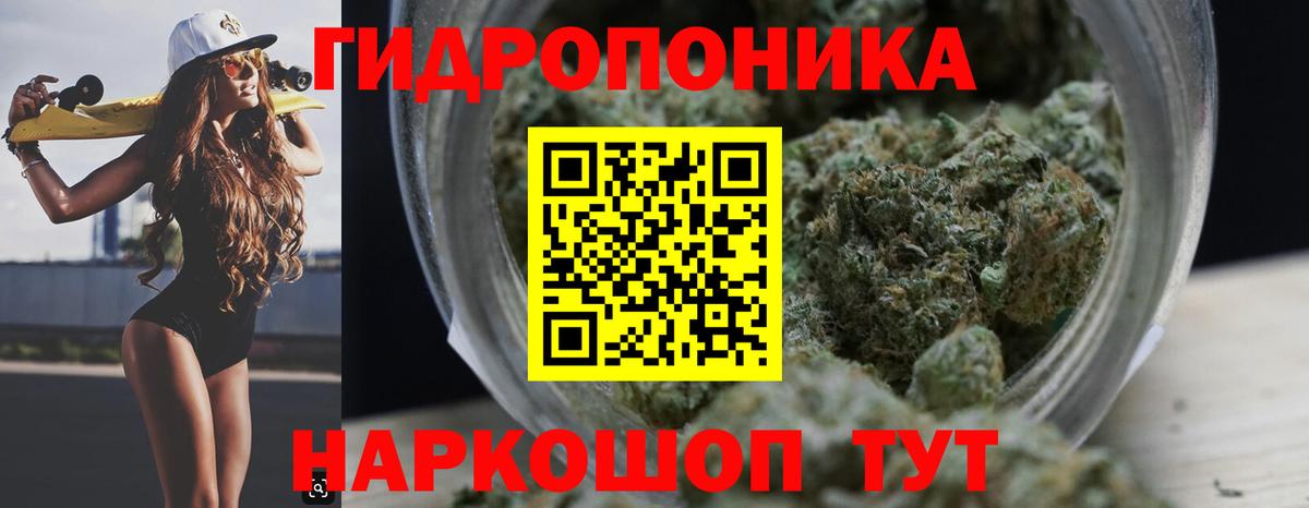 Шишки марихуана план Краснодар